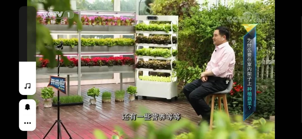 Modern Plant Factory Hydroponic Growing Systems Soilless Culture Vegetable Machine