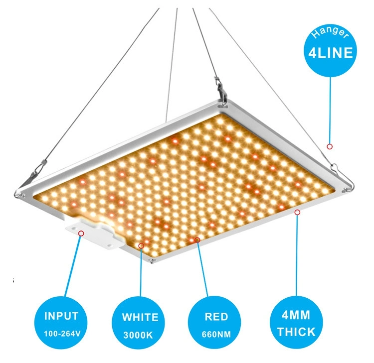 100W Greenhouse LED Growlight Lighting Modern Dimmable Stand Plant Growth 100 W Watt LED Grow Light Full Spectrum Far Red Qb Quantum Board for Indoor Plant