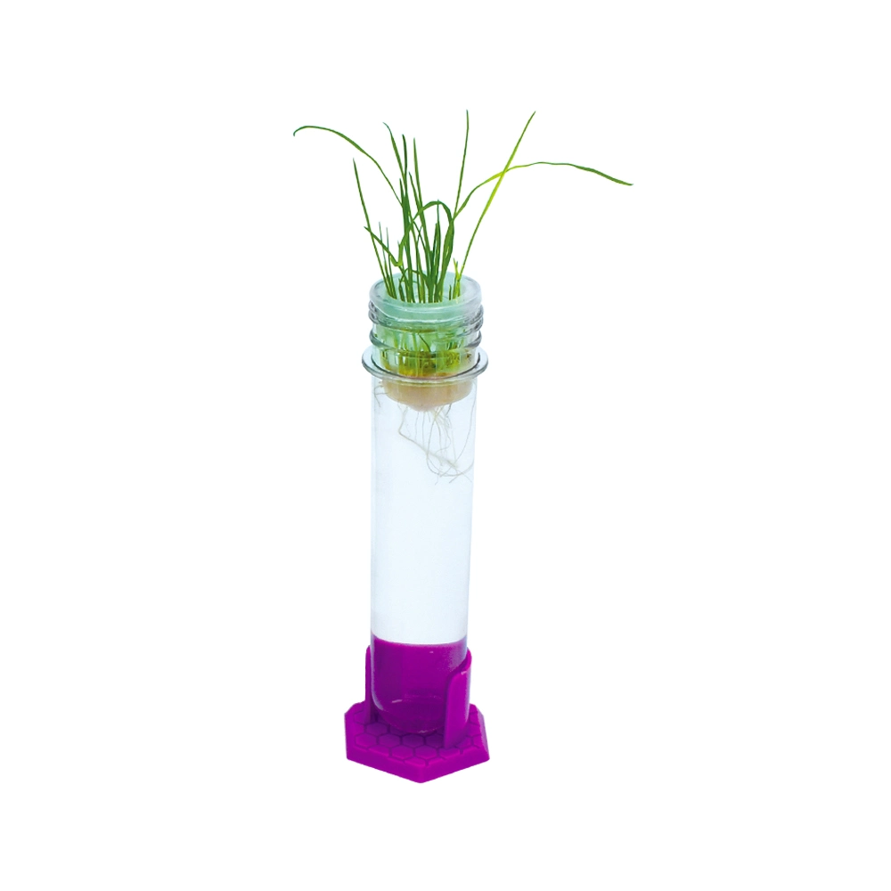 Plant Growing Kit Garden Science Toy Plant Kit