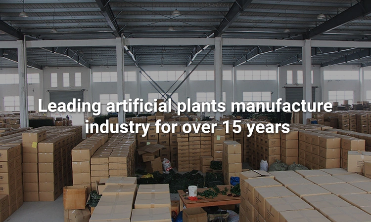 Most Beautiful Cheap Green Hanging Plant Potted for Outside Decoration