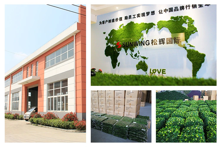 Most Beautiful Cheap Green Hanging Plant Potted for Outside Decoration