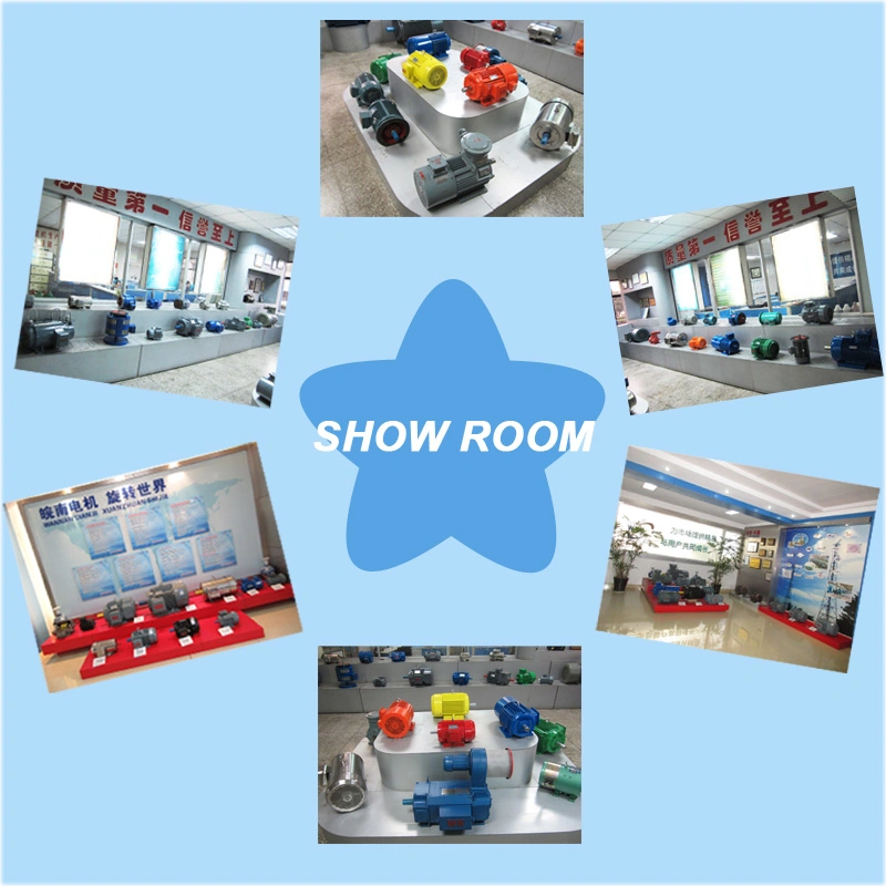 Super Premium Ie2 & Ie3 Efficiency Smart Control Three Phase AC Electric Motor with Inverter 25Hz~60Hz for Hydraulic Power Units 5.5kw 7.5kw