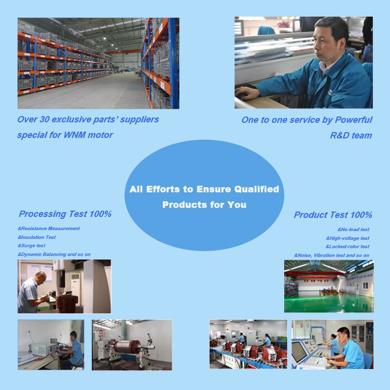 Super Premium Ie4 Permanent Magnet Motor with Inverter for Hydraulic Power Units 4kw 5.5kw