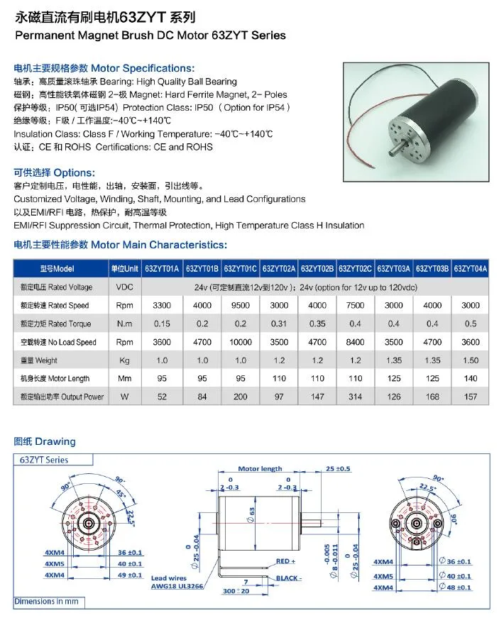 12 Votl 24 Volt Air Pump DC Motor Used for Medical Equipments