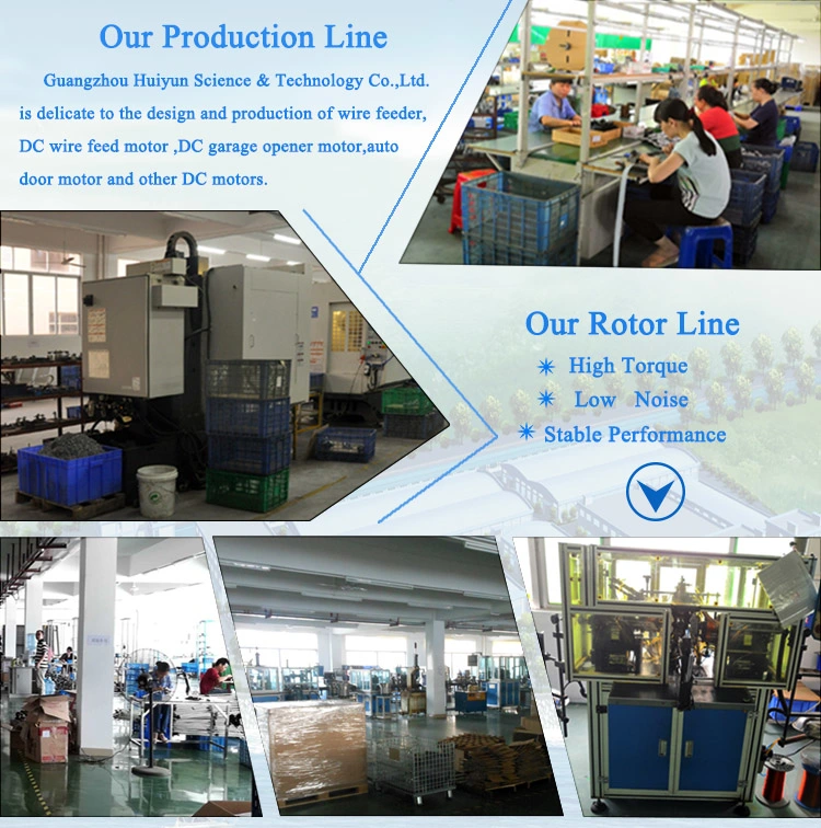 High Power Low Speed 48V DC Micro Worm Gear Motor for Hydraulic Pump with Ce