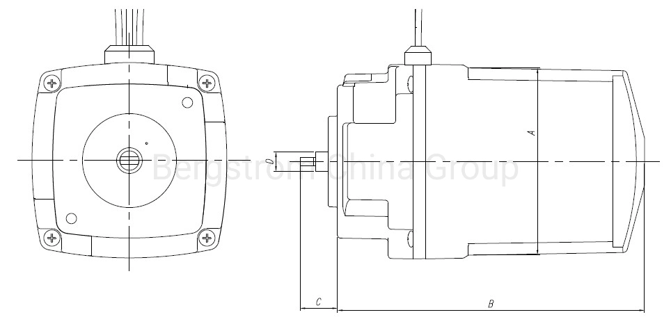 12V/36V DC Boat Hydraulic Pump Motor Electric Motor Oil Pump BZR02