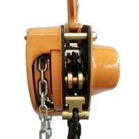 CB Series Model Chain Hoist with G80 Loading Chain (K1217)