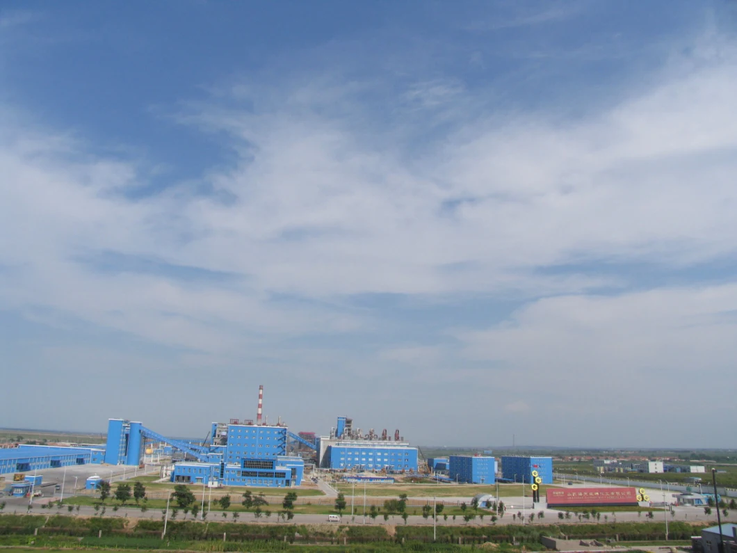Sodium Bicarbonate Food Grade Feed Garde Industry