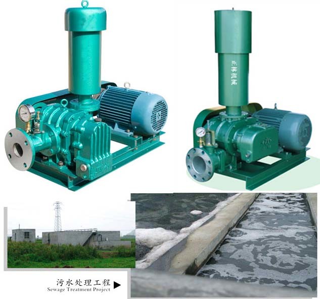 Three Lobes Roots Blowers, 2.2kw, 3HP Roots Blower for Watertreatment Industry