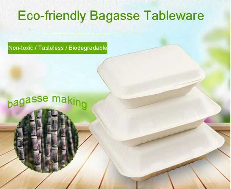 Wholesale Biodegradable Cake Plates Sugarcane Bagasse Dessert Dish Disposable Baby Tray