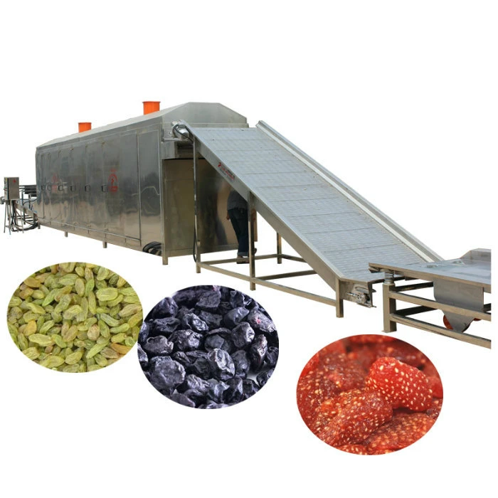 Hot Sale Hot Air Mushroom Drying Machine / Hot Air Vegetable Dryer Machine / Vegetable Drying Oven