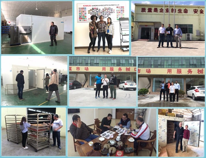 600-1500kg Per Batch Fruit Meat Processing Drying Equipment, Meat and Vegetable Dehumidify Equipment