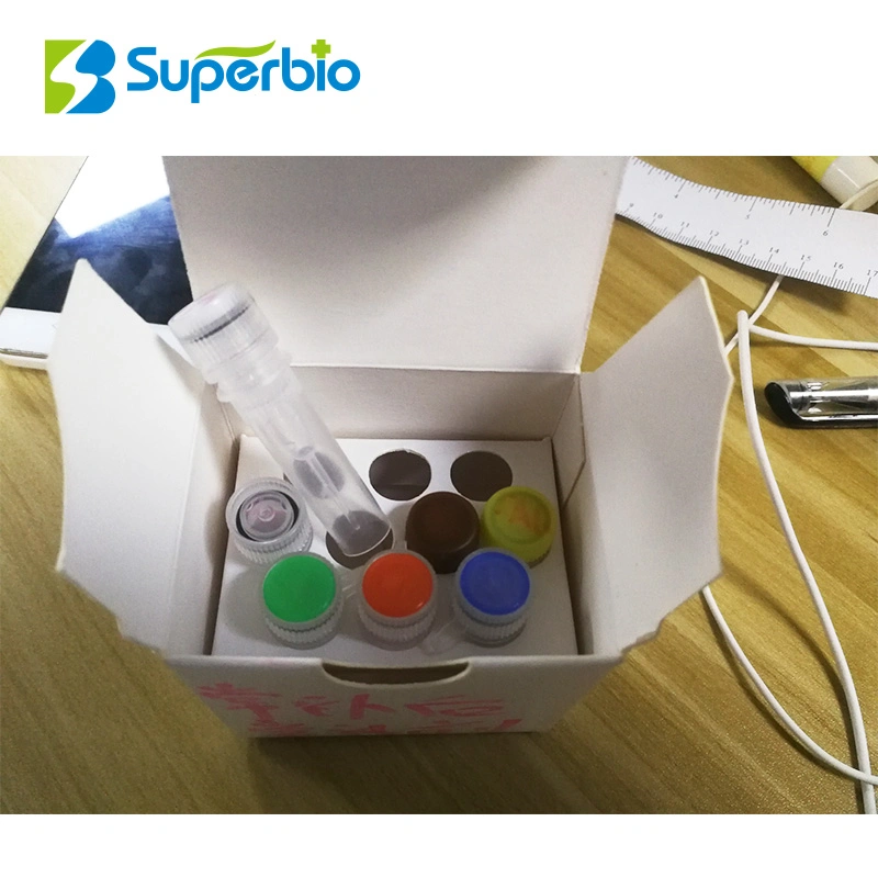 Forensic DNA Identification Kits Paternity Test DNA Reagent