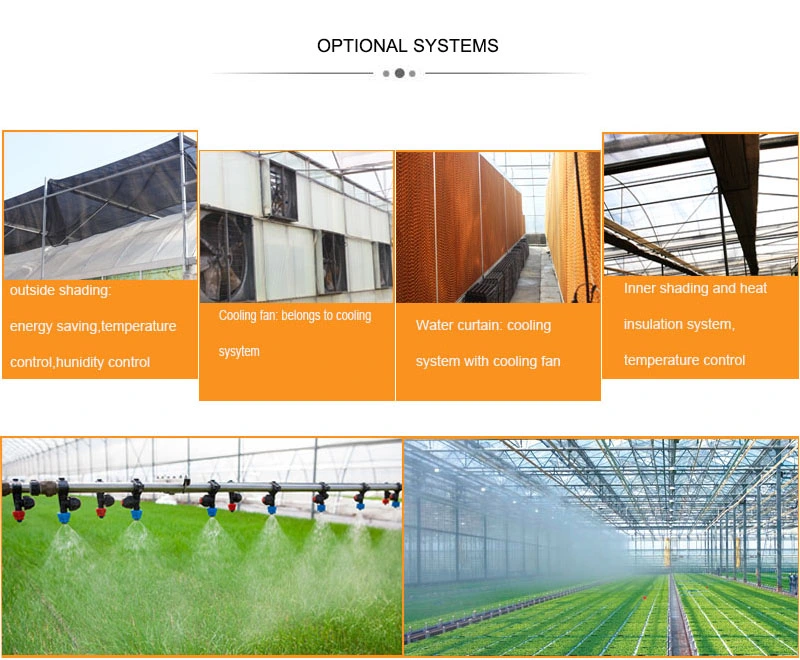 Polycarbonate Sheet/PC Sheet Greenhouse for Poultry Shed