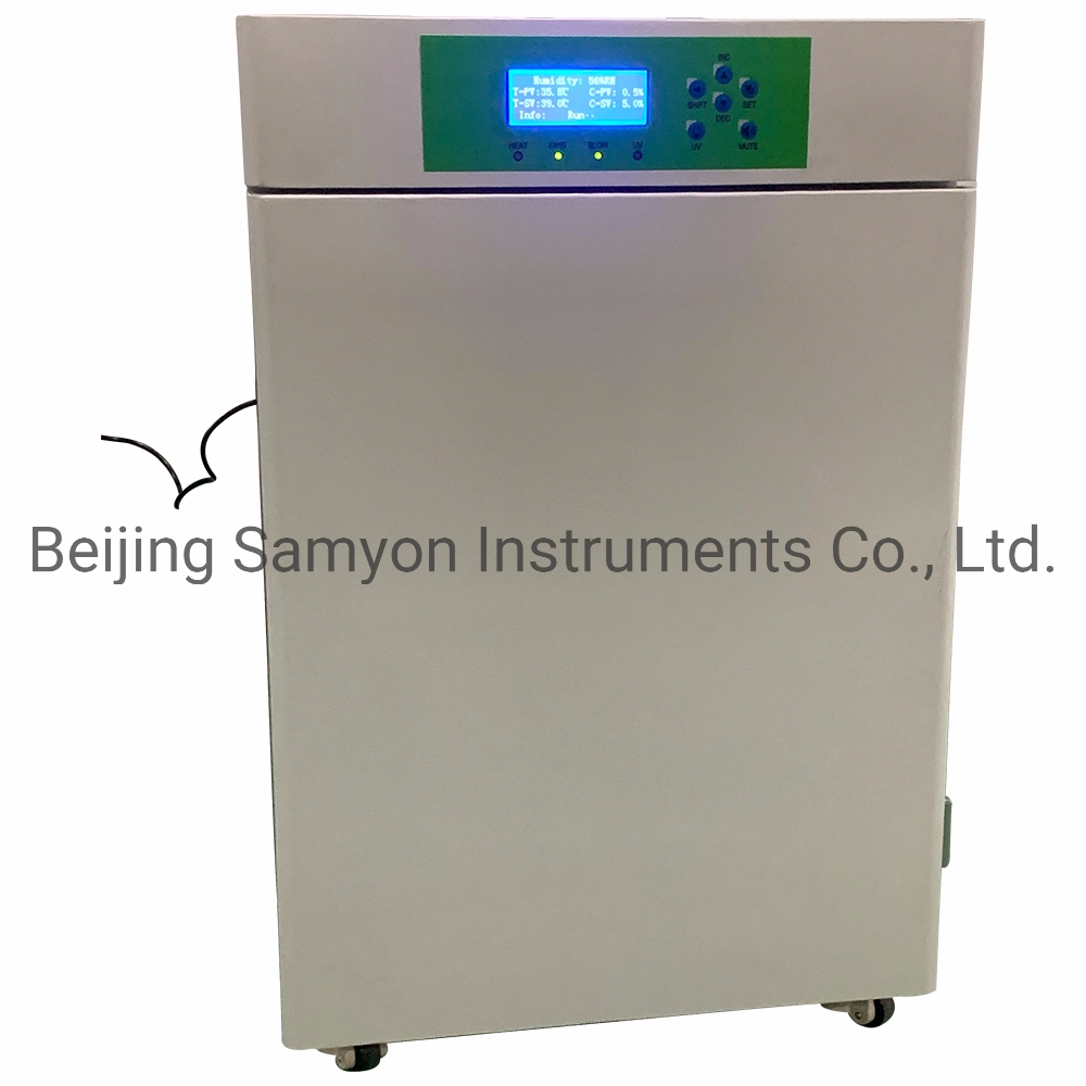 Sam2 Cell Culture CO2 Incubator