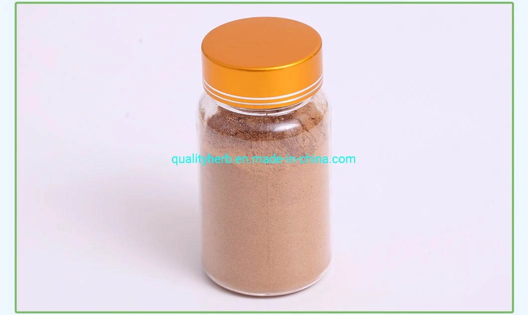 100% Natural Organic Bitter Apricot Seed Extract Fruit Powder