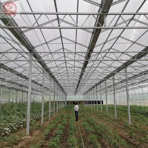 Commercial/Agricultural Equipments Vertical Farming Hydroponic Growing/Planting/Ready Glass Greenhouse with Multi-Span Structure