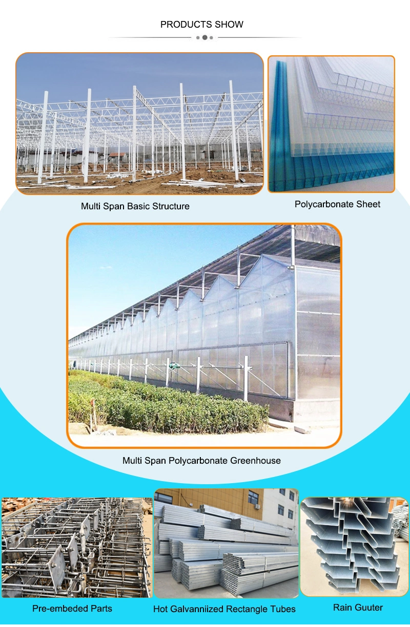 Polycarbonate Sheet/PC Sheet Greenhouse for Poultry Shed