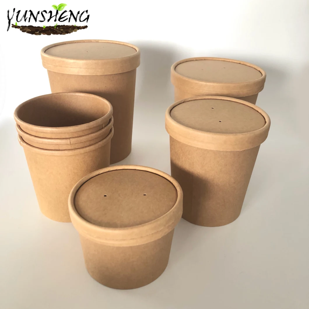 Biodegradable Plates and Bowls Biodegradable Paper Plates Eco Friendly Bagasse Plates Biodegradable Party Plates