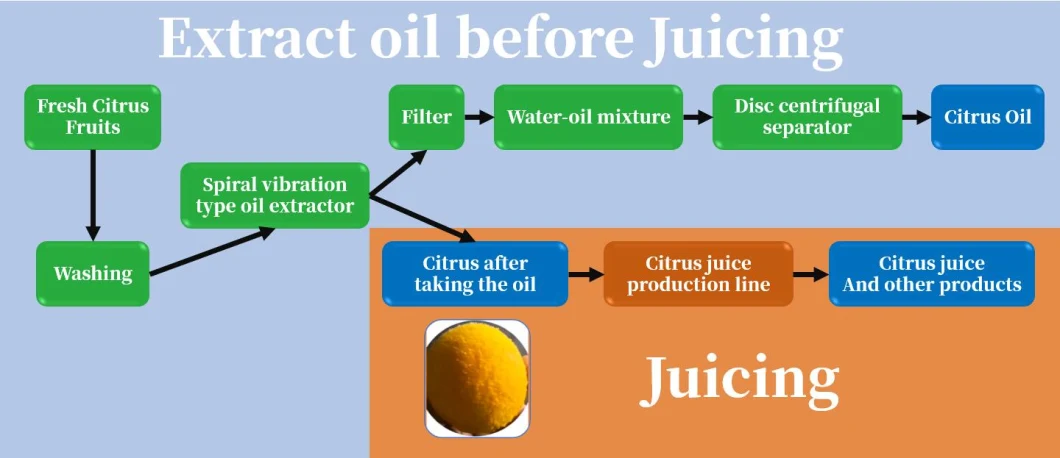 Top Quality Calamondin Orange Peel Essential Oil Extraction Machine/ Blood Orange Peel Essential Oil Extraction Machine