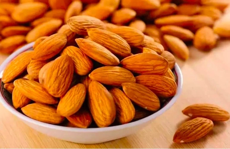 Wholesale Raw Bitter Almonds Bitter Apricot Kernels