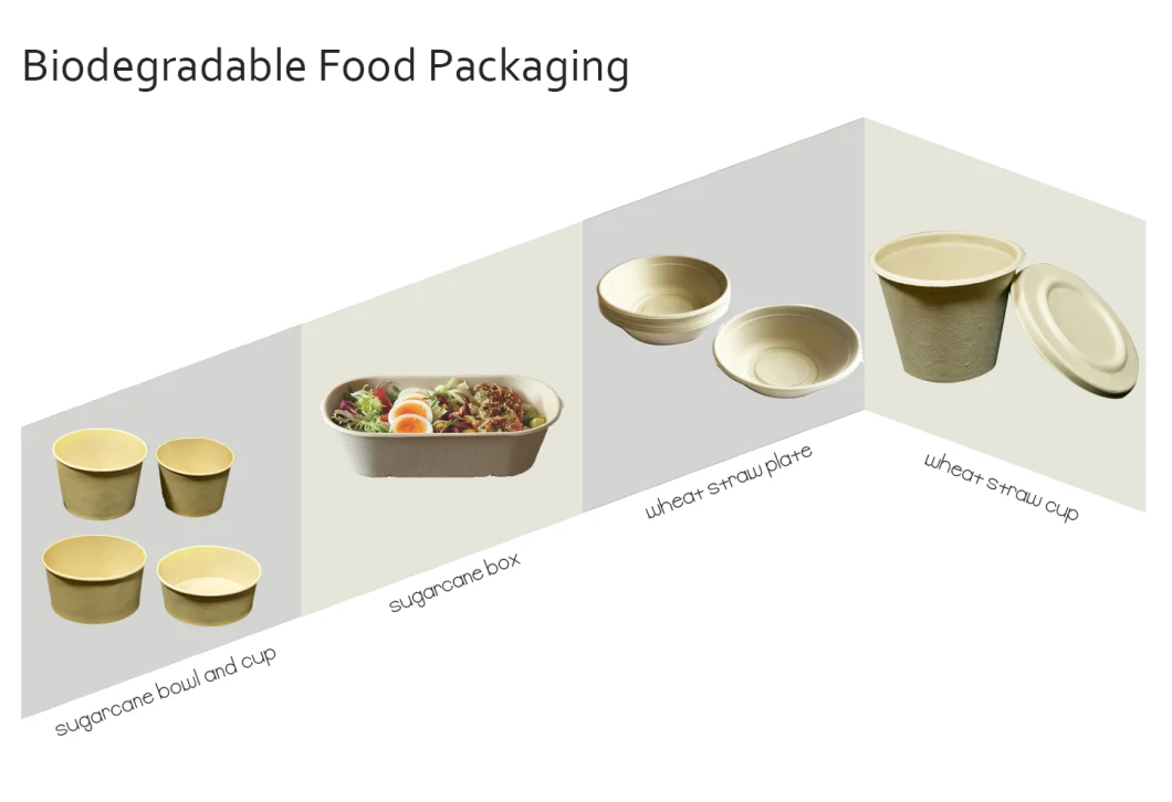 Durable Light Weight Compostable 100% Biodegradable Plates and Bowls for Party