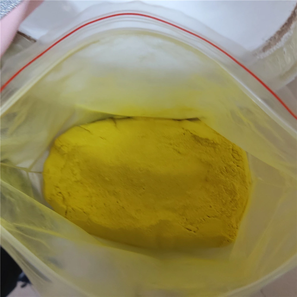 Supply Coptis Chinensis Extract Powder 98% CAS 316-41-6 Berberine Sulfate