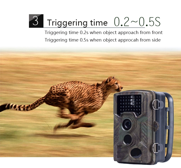 Night Vision 1080P Hunting Camera Waterproof IP66 Wildlife Video Camera