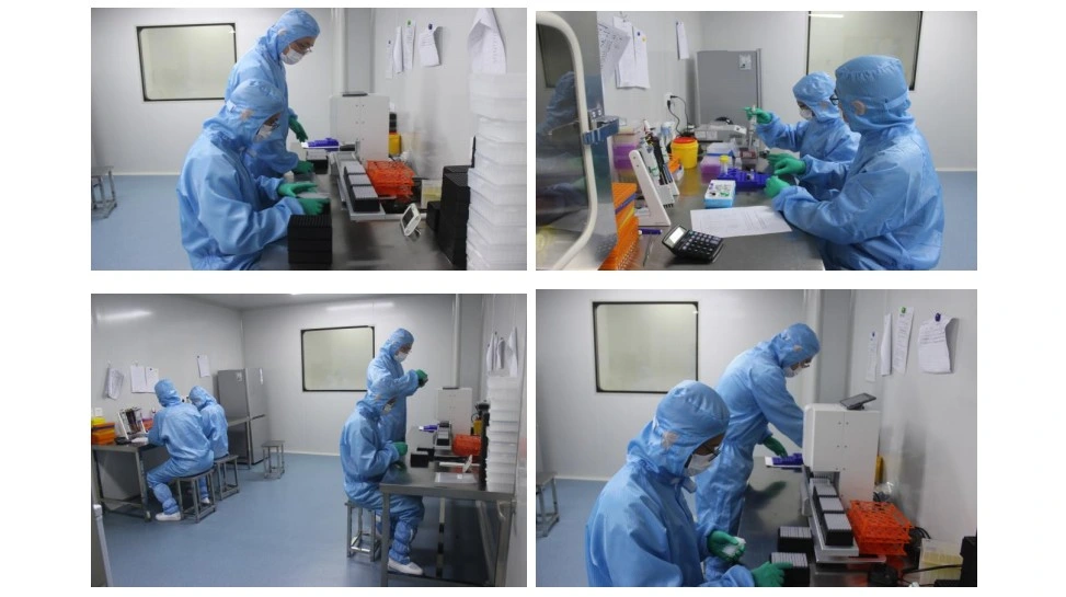 Rapid Diagnostic Test Rapid Test Kits Test Rapid Strip Test Kits Igg Igm AMP Test Kits