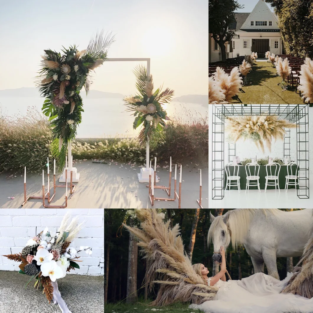 Wholesale Real Eternal Lasting Long Preserved Trim Flowers Foliage Eternal Lasting Long Dried Palm Leaves