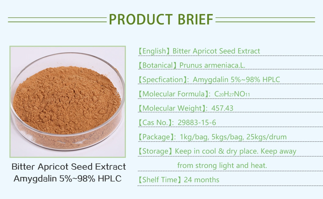 100% Natural Organic Bitter Apricot Seed Extract Fruit Powder