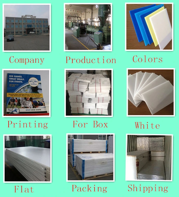 PP Corrugated Plastic Sheet Coroplast Sheet PP Hollow Plastic Sheet