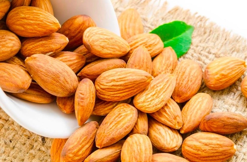 Wholesale Raw Bitter Almonds Bitter Apricot Kernels