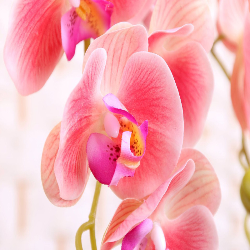 3 Heads Artificial Butterfly Orchid Real Touch Phalaenopsis Orchid