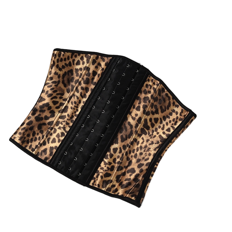Plus Size Xs-6XL Compression Trimmer Corset Belt Tummy Trimmer Corset Belt Women Belt Slimming Slimming Belt Tummy Women Shapewear Shapers