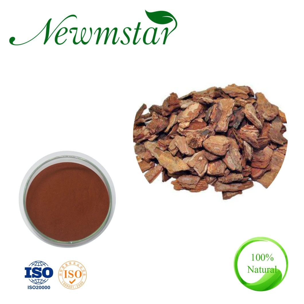 Pine Bark Extract, Pine Bark Extract Powder, Pine Bark Powder