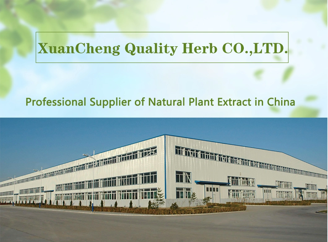 Reliable Supplier Immature Bitter Orange Extract Neosperidin Dihydrochalcone