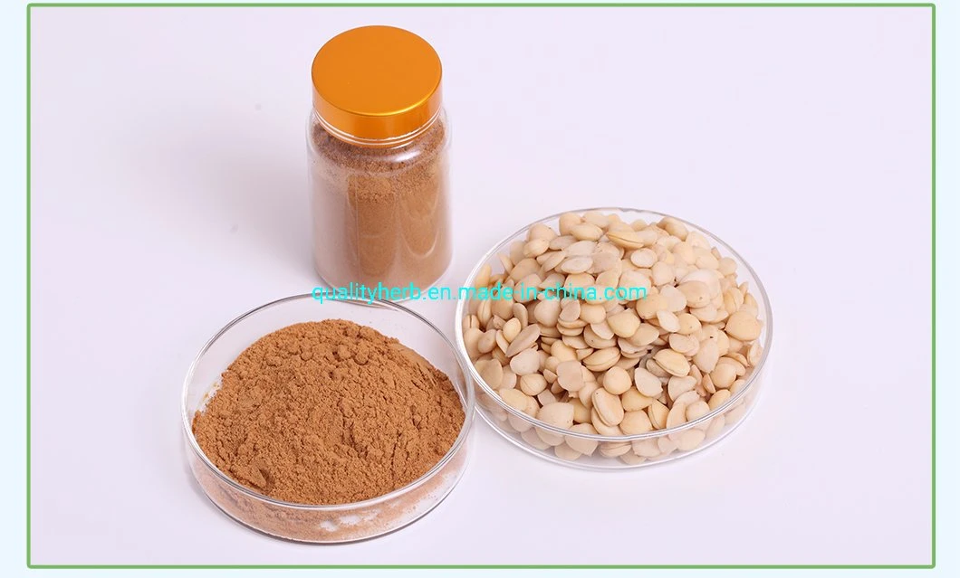 100% Natural Organic Bitter Apricot Seed Extract Fruit Powder