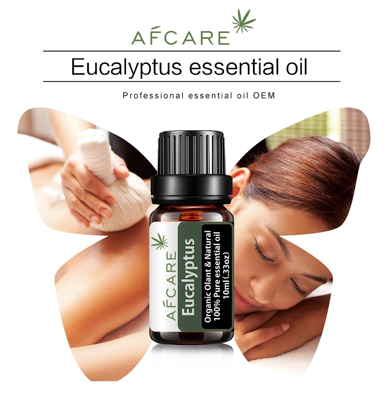 Pure Therapeutic OEM Eucalyptus Essential Oil Private Label Relieve Scalp Discomfort Reduce Greasy Feeling Face Care