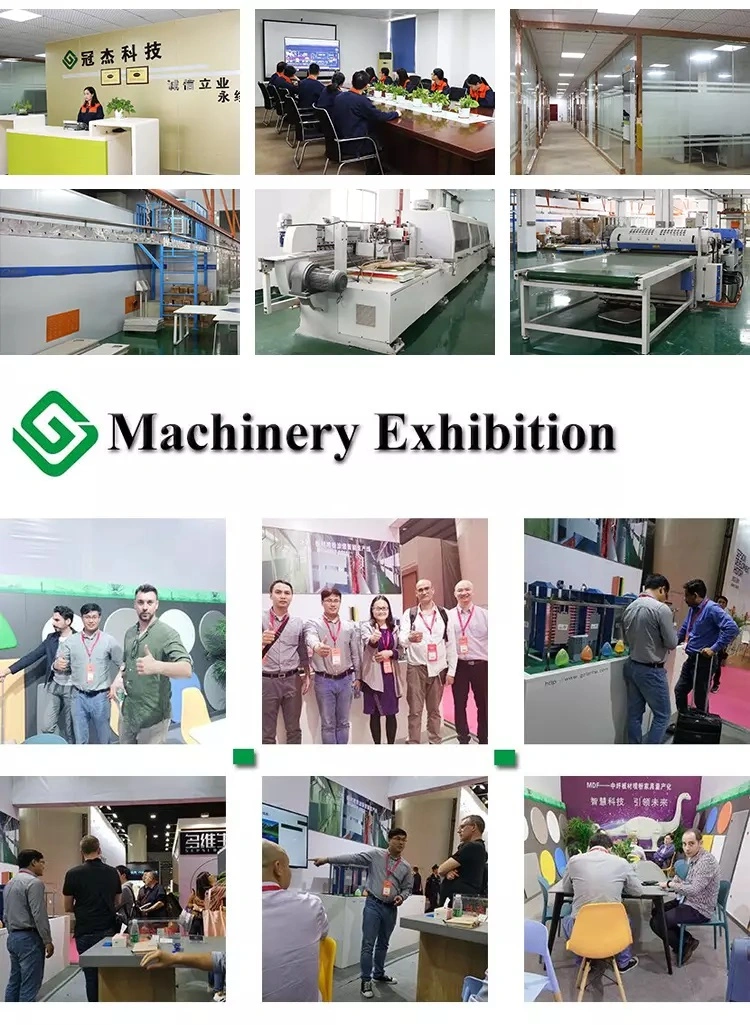 Full Automatic Electrophoresis Line