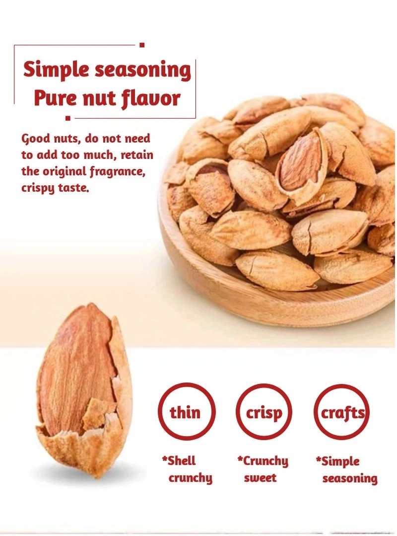 Wholesale Raw Bitter Almonds Bitter Apricot Kernels