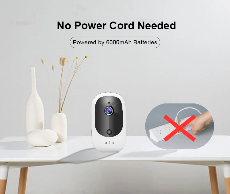 PIR Detection Battery Powered WiFi IP Camera for Carport