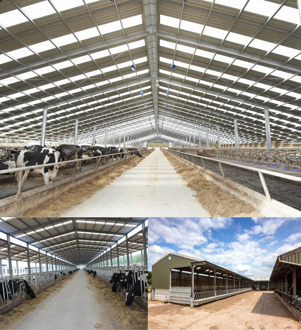 Steel Structure Space Frame Poultry Shed Cow Shed Farm Building