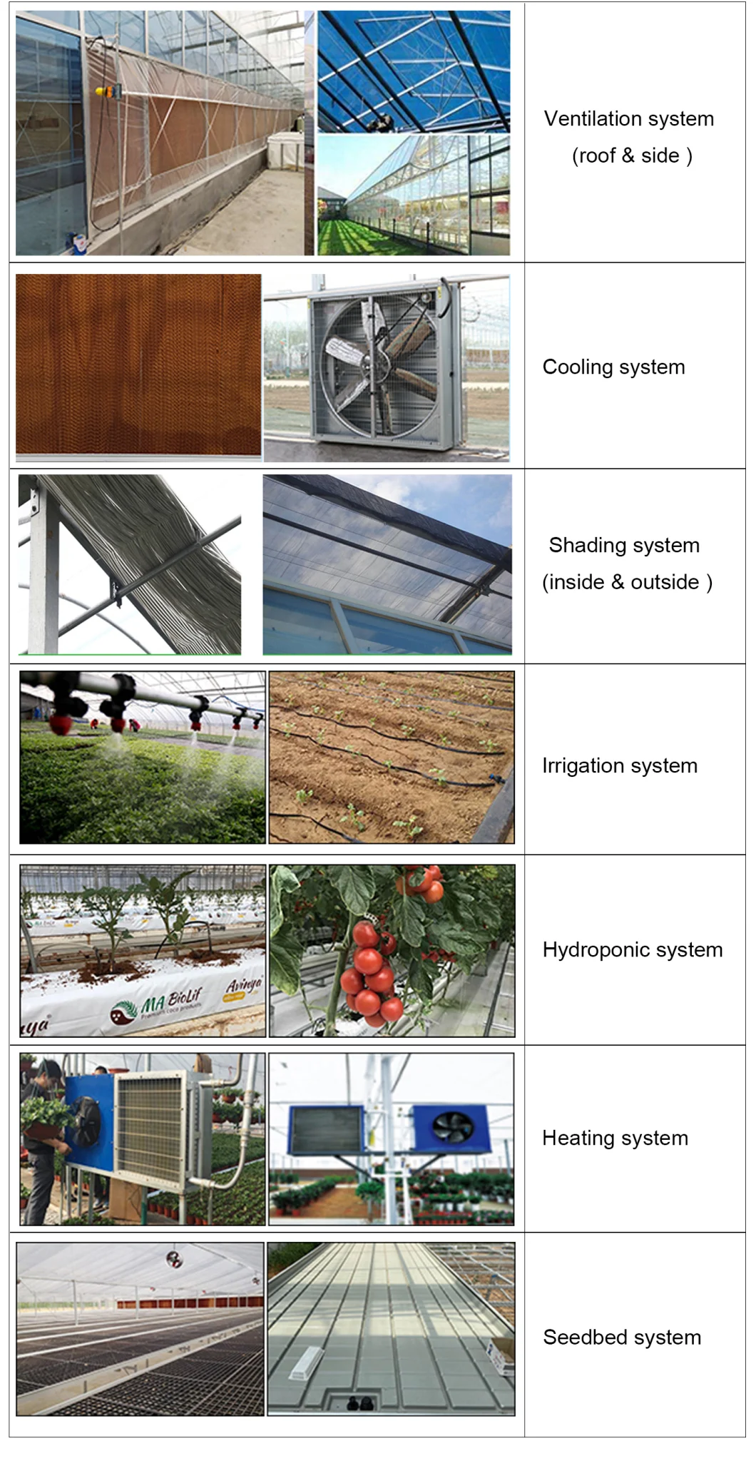 Flower/Fruit/Vegetables Growing Polycarbonate Sheet Greenhouse with Sunshade System