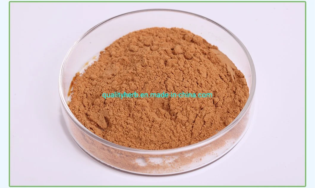 100% Natural Organic Bitter Apricot Seed Extract Fruit Powder