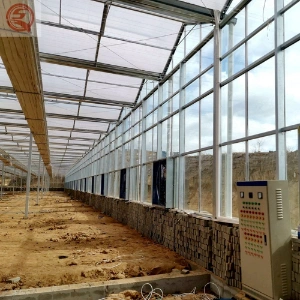 Agricultural Equipments/Multi-Span/Arch/Venlo/Tunnel/Tempered Glass Greenhouse with Vertical Farming Hydroponics Growing System