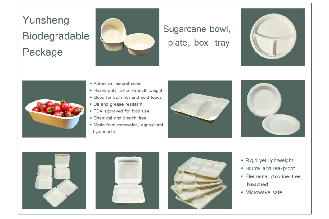 Durable Affordable Soak Proof Microwavable Heat Resistant Beige Biodegradable Bowls and Plates