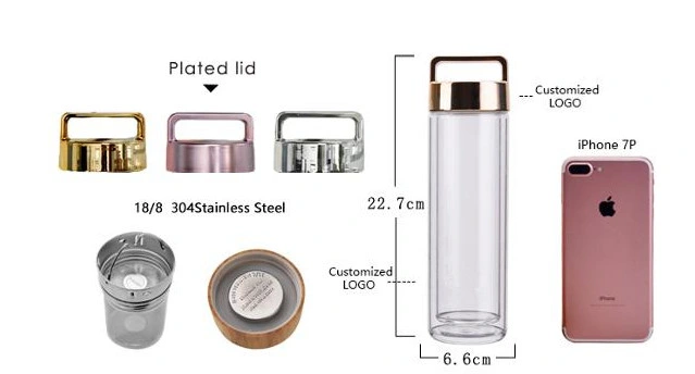 Portable Tea Drinking Bottle Double Wall Double Wall Water Bottle FL3003