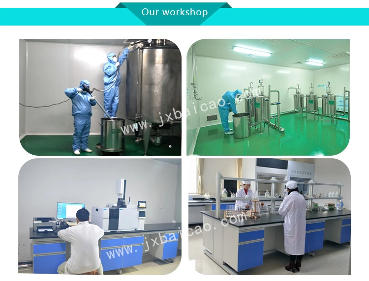 Peppermint Oil Base Oil Body Massage Oil Factory Wholesale