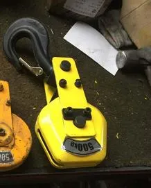 Wire Rope Pulling Hoist Mini Electric Wire Rope Hoist